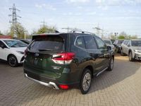 gebraucht Subaru Forester 2.0ie Lineartronic Active 2024 Modell
