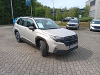 Neu Subaru Forester Active 136 PS (100 kW) 2025 Gold SUV