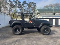Gebraucht Jeep Wrangler 118 PS (86 kW) 1998 Schwarz SUV