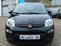 Gebraucht Fiat Panda Easy 69 PS (50 kW) 2018 Schwarz Kleinwagen