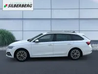 Gebraucht Skoda Octavia Ambition 150 PS (110 kW) 2023 Moonweiß perleffekt Kombi