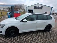 Gebraucht VW Golf VII 2014 Weiß Kombi