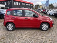 Neu Fiat Panda 69 PS (50 kW) 2026 Rot Kleinwagen