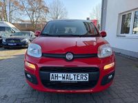 Gebraucht Fiat Panda Lounge 86 PS (63 kW) 2017 Rot Kleinwagen