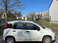 Gebraucht Fiat Panda 69 PS (50 kW) 2017 Weiß Kleinwagen