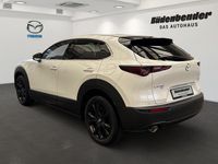 Neu Mazda CX-30 Nagisa 140 PS (102 kW) 2025 SUV