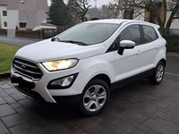 Gebraucht Ford Ecosport Trend 101 PS (74 kW) 2020 Weiß SUV