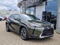 gebraucht Lexus UX 250h Style Edition LED, Apple CP, Android Auto