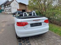 gebraucht Audi A3 Cabriolet TDI 2.0 Ambition