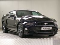 gebraucht Ford Mustang 3.8 V6 *Roush*73.511 KM*