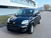 Gebraucht Fiat Panda 69 PS (50 kW) 2015 Schwarz Kleinwagen
