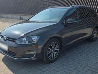 Gebraucht VW Golf VII Allstar 110 PS (80 kW) 2016 Grau Kombi