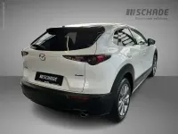 Gebraucht Mazda CX-30 Selection 122 PS (89 kW) 2020 Weiß SUV