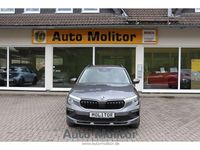 Neu Skoda Kamiq Selection 150 PS (110 kW) 2026 Grau SUV
