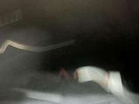 Usata BMW 320 163 CV (119 kW) 2008 Nero Berlina