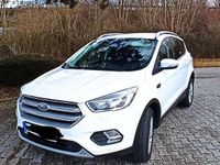 Gebraucht Ford Kuga Trend 150 PS (110 kW) 2019 Weiß SUV
