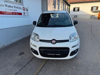 Gebraucht Fiat Panda Pop 69 PS (50 kW) 2016 Weiß Limousine