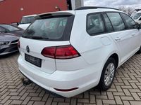 Gebraucht VW Golf VII 116 PS (85 kW) 2019 Weiß Kombi