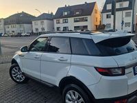 Gebraucht Land Rover Range Rover evoque SE Dynamic 150 PS (110 kW) 2017 Weiß SUV
