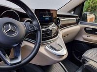 Gebraucht Mercedes 300 Marco Polo 237 PS (174 kW) 2023 Grau Kombi