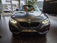 Gebraucht BMW 220 Sport Line 190 PS (139 kW) 2019 Grau Cabrio