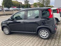 Gebraucht Fiat Panda 69 PS (50 kW) 2024 Cinema schwarz Kleinwagen