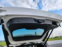 Gebraucht Ford Kuga ST-Line 230 PS (169 kW) 2019 Weiß SUV