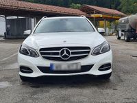 Gebraucht Mercedes E220 Edition 170 PS (125 kW) 2015 Weiß Kombi