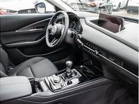Gebraucht Mazda CX-30 Prime-Line 122 PS (89 kW) 2024 Weiß (arctic white) SUV