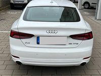 Gebraucht Audi A5 Sportback 150 PS (110 kW) 2019 Weiß Kleinwagen