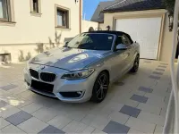 Gebraucht BMW 220 190 PS (139 kW) 2015 Grau Cabrio