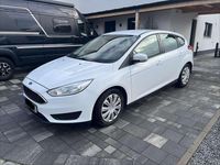 Gebraucht Ford Focus Trend 101 PS (74 kW) 2014 Weiß Kleinwagen