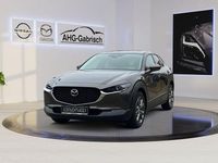 Gebraucht Mazda CX-30 Touring 186 PS (136 kW) 2021 Grau SUV