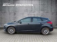 Usata Ford Focus Cool & Connect 125 CV (91 kW) 2017 Grigio Berlina
