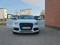 Gebraucht Audi SQ5 Design 313 PS (230 kW) 2014 Weiß SUV