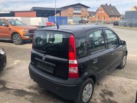 gebraucht Fiat Panda 1.1 8V Active, 1 Hand, Zahnriemen Tüv Neu