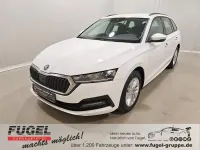 Gebraucht Skoda Octavia Ambition 116 PS (85 kW) 2021 Candyweiss Limousine