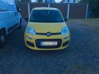 Gebraucht Fiat Panda 69 PS (50 kW) 2020 Gelb Kleinwagen