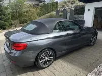 Gebraucht BMW 218 150 PS (110 kW) 2019 Grau Cabrio