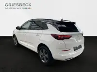 Gebraucht Opel Grandland X Ultimate 131 PS (96 kW) 2022 Jade weiss/arktis weiss SUV
