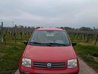 Gebraucht Fiat Panda Dynamic 60 PS (44 kW) 2006 Rot Kleinwagen