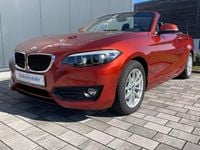 Gebraucht BMW 218 Advantage 136 PS (100 kW) 2018 Orange Cabrio