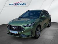 Gebraucht Ford Kuga ST-Line 152 PS (111 kW) 2024 Bursting green SUV