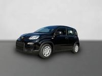 Gebraucht Fiat Panda 69 PS (50 kW) 2025 Schwarz Kleinwagen
