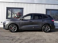 Gebraucht Ford Kuga ST-Line X 150 PS (110 kW) 2024 Magnetic (metallic) SUV