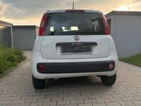 gebraucht Fiat Panda 1.2 Benzin