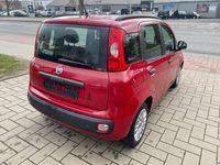 Gebraucht Fiat Panda 69 PS (50 kW) 2013 Colore esterno rosso pastello Kleinwagen