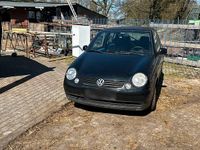 Gebraucht VW Lupo 55 PS (40 kW) 1999 Schwarz Kleinwagen