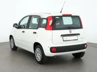 Neu Fiat Panda 71 PS (52 kW) 2025 Weiß Kleinwagen