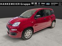 Neu Fiat Panda Icon 65 PS (47 kW) 2026 Rot Kleinwagen